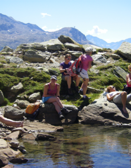 Screen Shot 2021-08-12 at 14