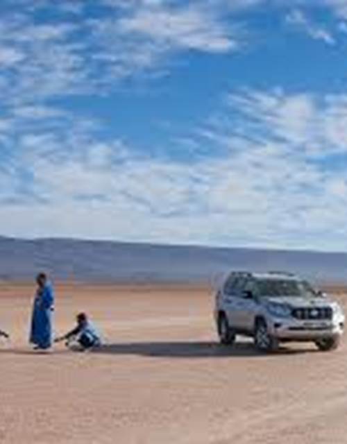 DESERT IRIKI - excursions - désert - Désert lac Iriki l'oasis les dunes - 4 jours / 3 nuits