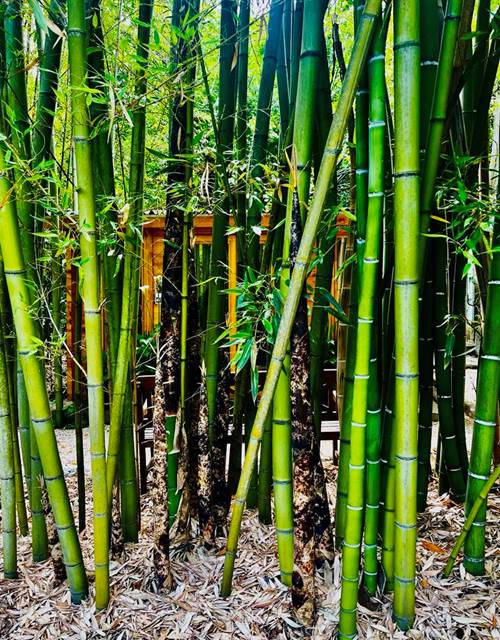 a96a7f90-4b25-46f8-ade7-1695213aaefb