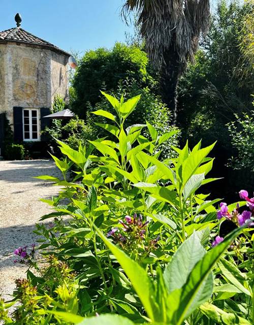 34FC07D2-0596-427F-AD24-C8FD563BD5F2