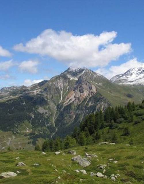 activites-peisey-vallandry-001