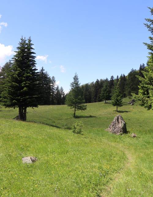 Clairière-Bario_Elfie-2