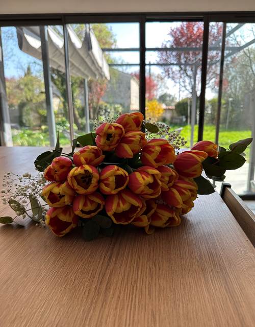 Cuisine_tulipes_vue jardin_La Grande Cavalerie