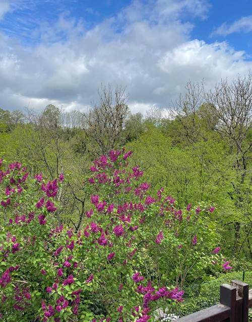 WhatsApp Image 2024-10-15 à 14.48.40_dc588139