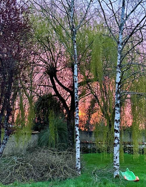 Jardin sud coucher de soleil_La Cavalerie