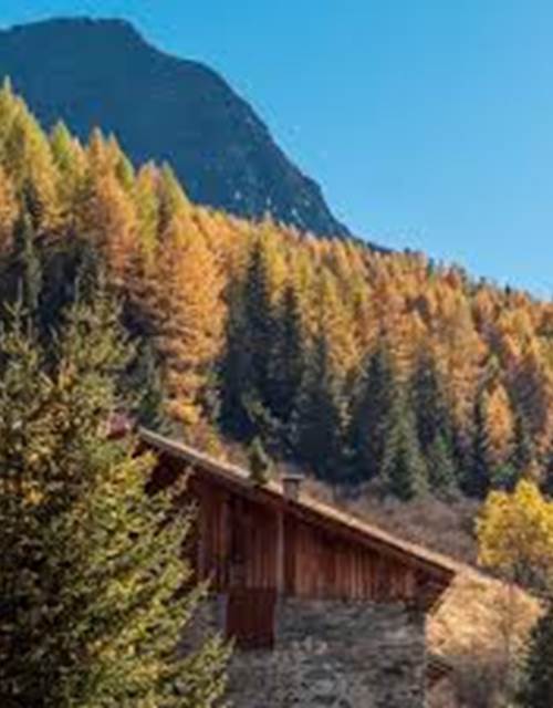 téléchargement (9)