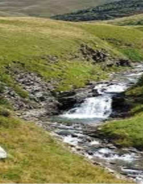 Screen Shot 2021-08-12 at 14