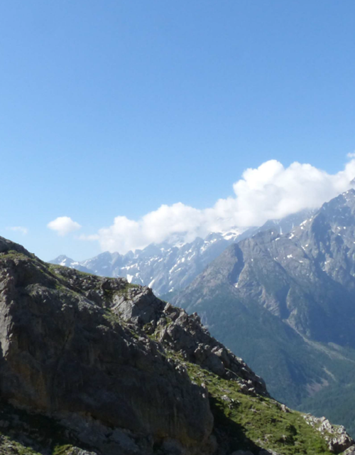 Capture d’écran 2025-06-17 094332