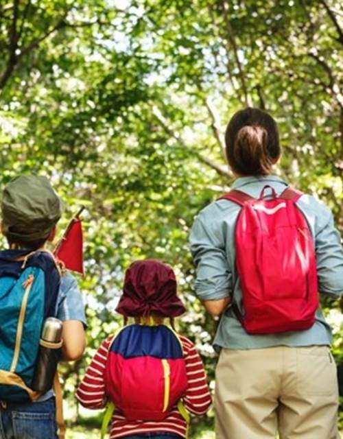 family-hiking-forest_53876-92505 (2)