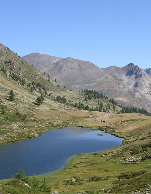 Capture d’écran 2025-06-28 134041