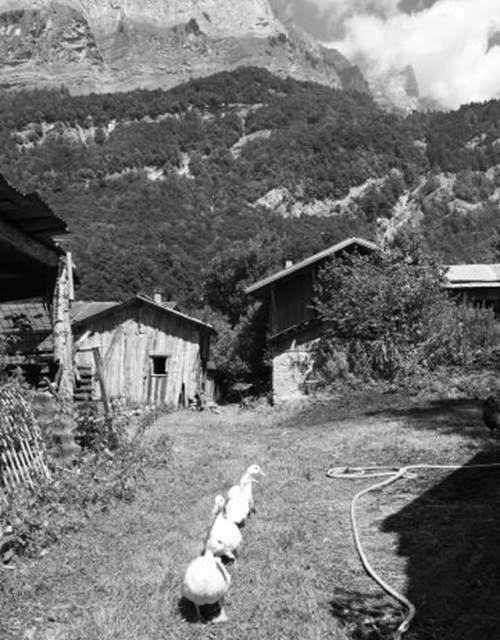 22475877-diaporama-360x480