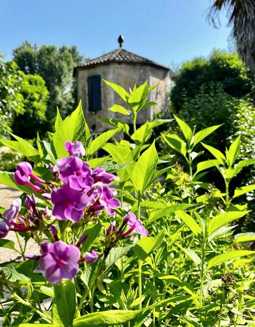 58A057BF-E155-4D18-88FC-095BD6954E65