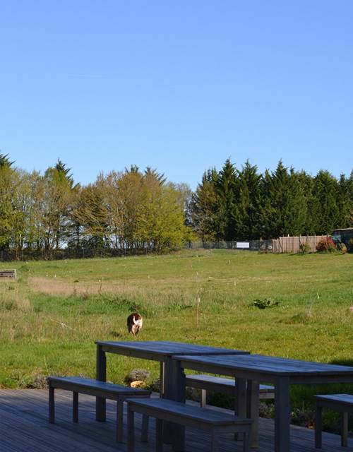 Cabane du Cerf, vue du parc de la terrasse