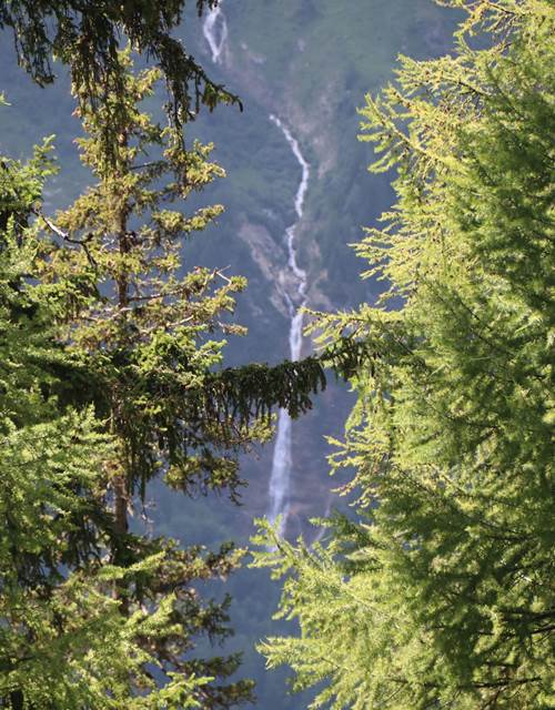 Clairière-Bario_Elfie-1