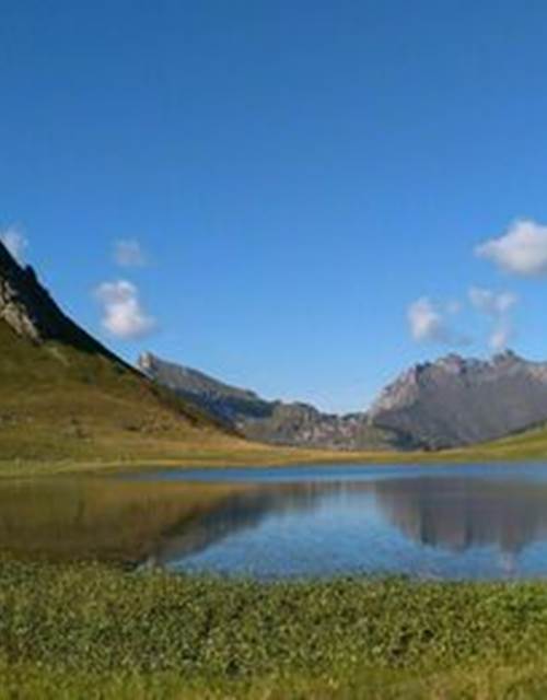 large_09cb8aedd861ffcd1a3a7c42844231b0