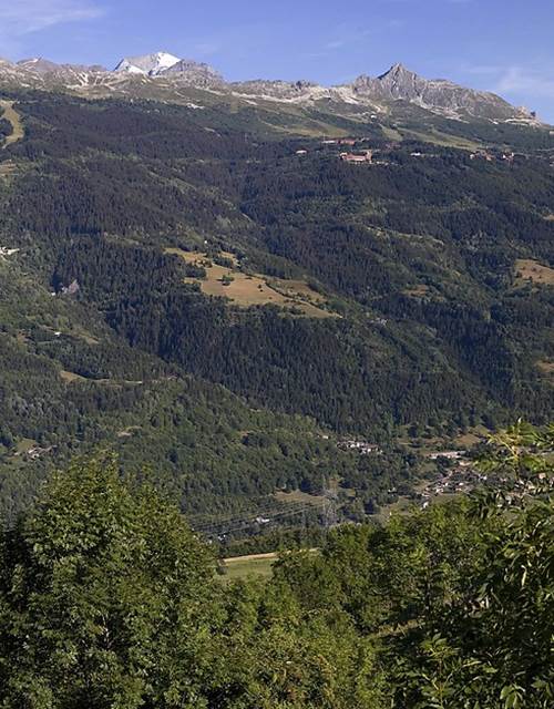 f4a83b40d93d4110_f78529c90b0c5257