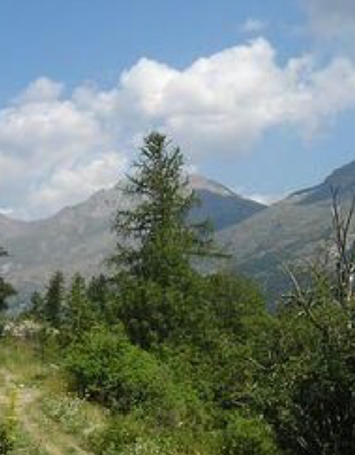 Capture d’écran 2025-06-17 094622