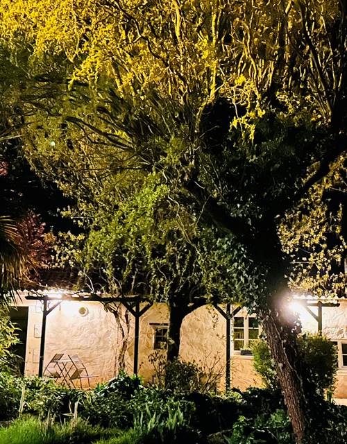 Façade_La Petite Cavalerie