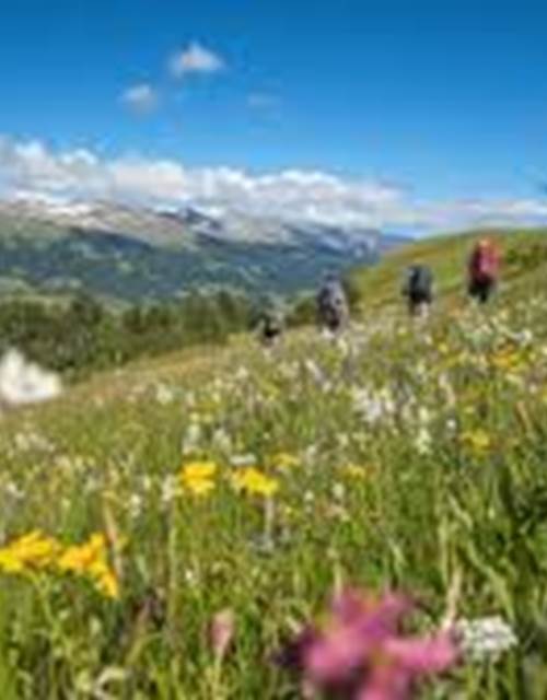 téléchargement (9)