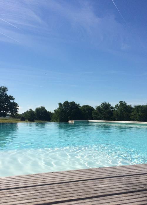 Piscine 7 X 12m, à sel et à débordement
