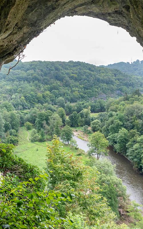 Reserve-naturelle-de-Furfooz--Trou-du-Grand-duc--Christophe-Danaux-2021-010-around
