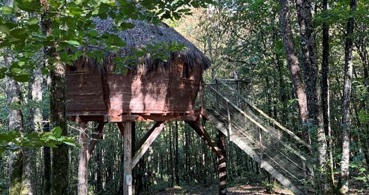 Cabane aux fées.JPG