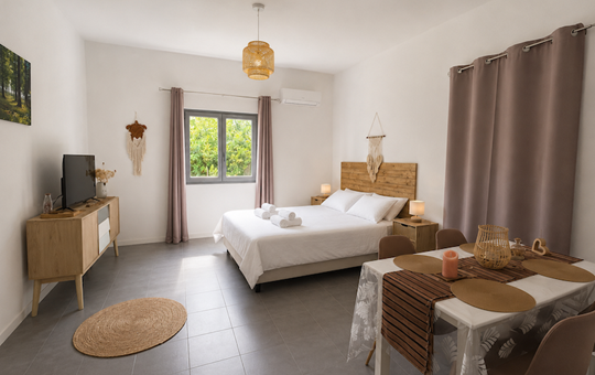 ELIA CHAMBRE