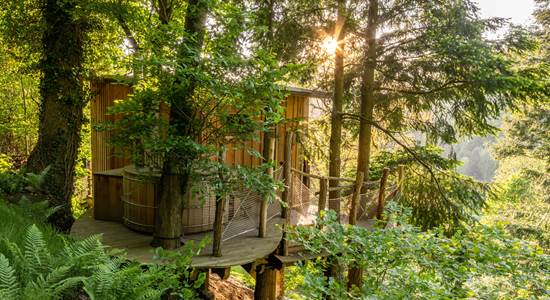 cabane dans les arbres et jacuzzi privatif.jpg