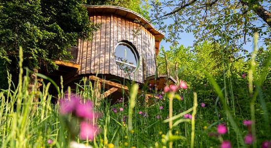 cabane dans les arbre en amoureux.jpg