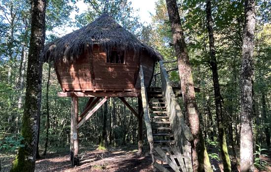 Cabane