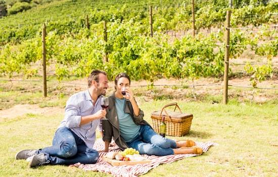 toute-longueur-du-couple-ayant-du-vin-au-vignoble_107420-14749(1)