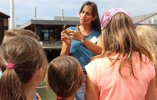 animation-enfants-ponton-peche-aux-crabes-City-de-l-Huy-tre