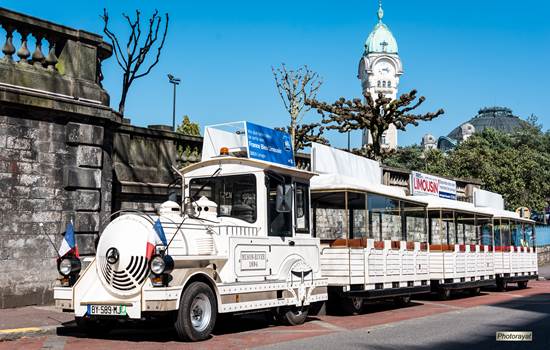 Petit Train DOTTO - 2019-img-around
