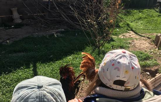 ferme de rousson mhillaire55759939_2019177311720698_4801724336861872128_n-img-around