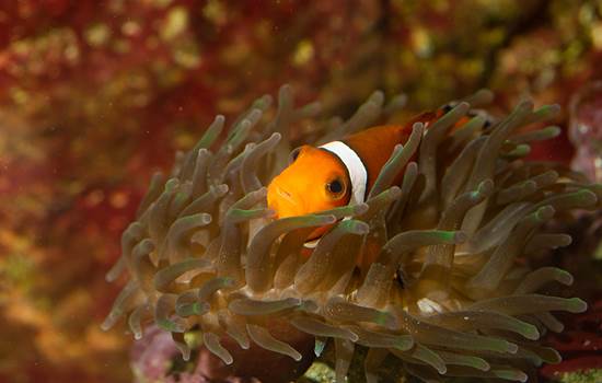 191000101_7-img-around