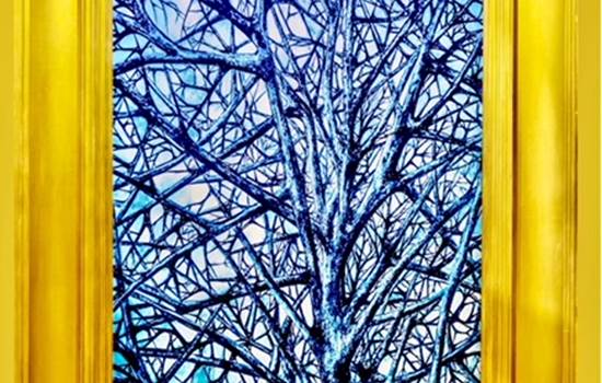AdobePhotoshopExpress20240129153435-img-around
