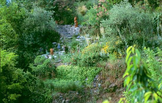 8.visite.jardin.sambucs.aigoual.cevennes.nature