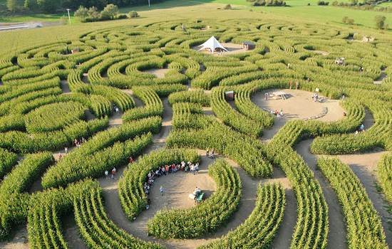 Le labyrinthe - Barvaux sur Ourhe-img-around