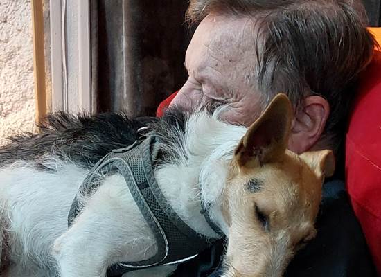 Pet-Friendly au Ranch des Lacs, Jules et Yummy