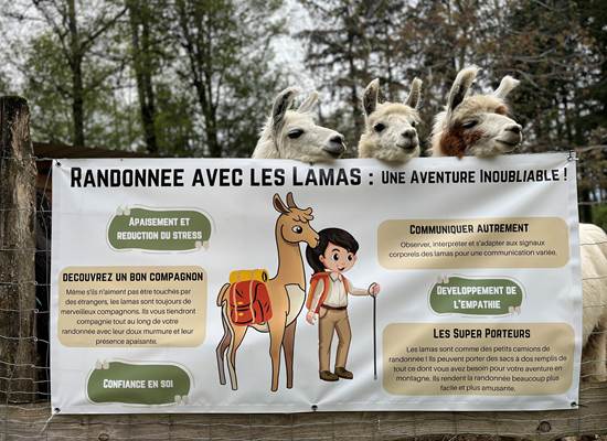 Des activitées adaptées