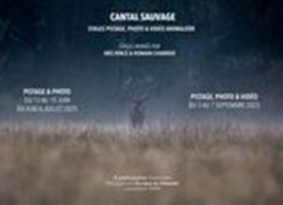 Sans titre