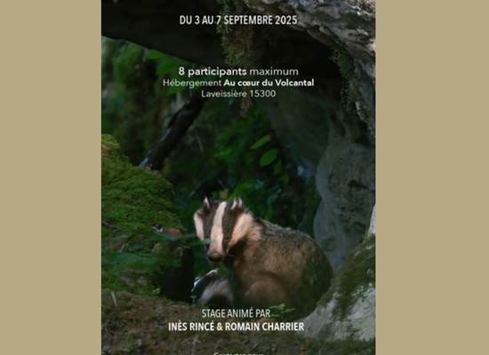 Sans titre
