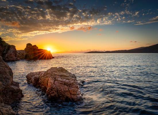www.casanova-corse.com