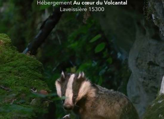 Sans titre