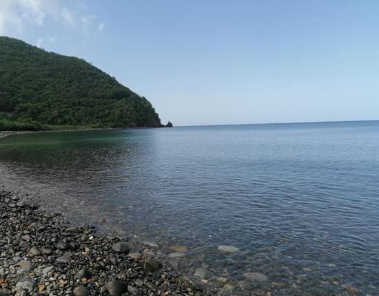 a4f748a5-d765-4274-88f1-a64e1271543f 2