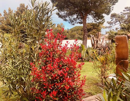 VUE JARDIN ROUGE
