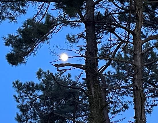 Pleine lune sentier cotier