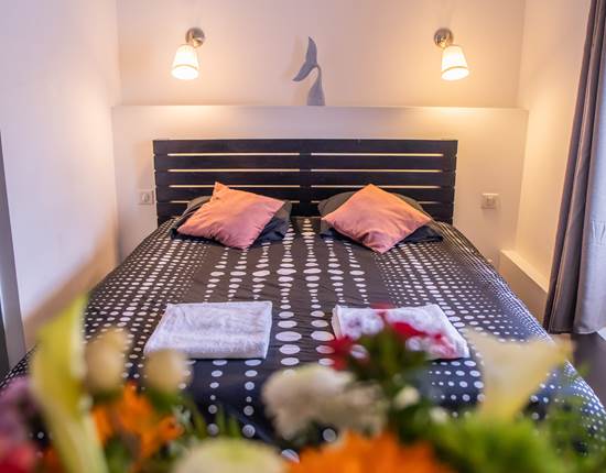 Chambre 3 Lit et Fleurs