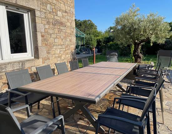 Grande terrasse avec olivier