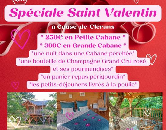 Saint Valentin 2026 en cabane perchée dans les arbres Bergerac